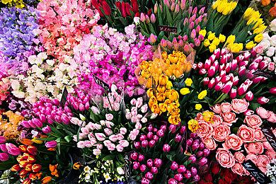 【第一视角】《永劫无间》职业联赛NBPL常规赛6月9日赛事