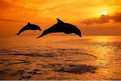  《七龙珠 电光炸裂！ZERO》GT角色预告片＆截图